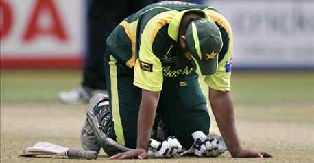 pakis fallen.jpg