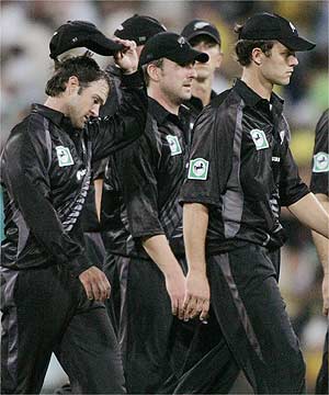 kiwis.jpg