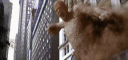 sandman2.png