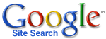 Google Site Search